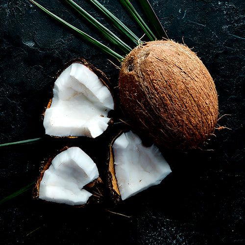 Caprylic/Capric Triglyceride – Intelligent Nutrients™