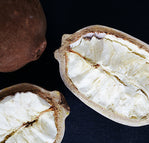 Cupuacu Seed Butter