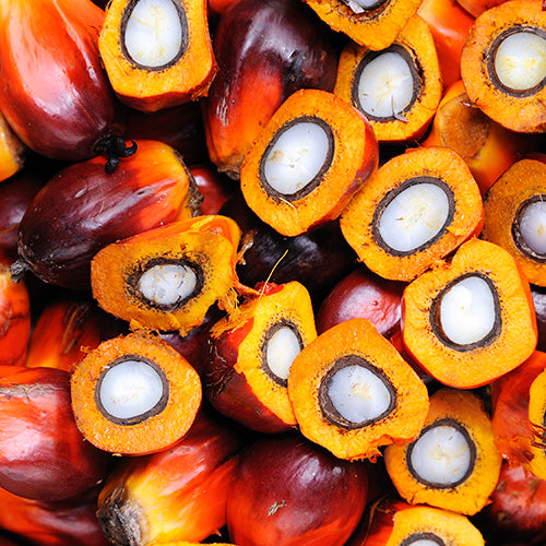 Elaeis Guineensis (Palm) Oil