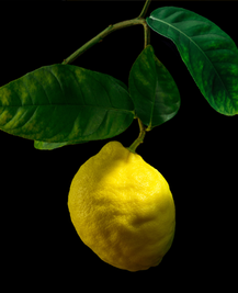 Limonene