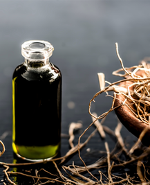 Vetiver Root Extract EO