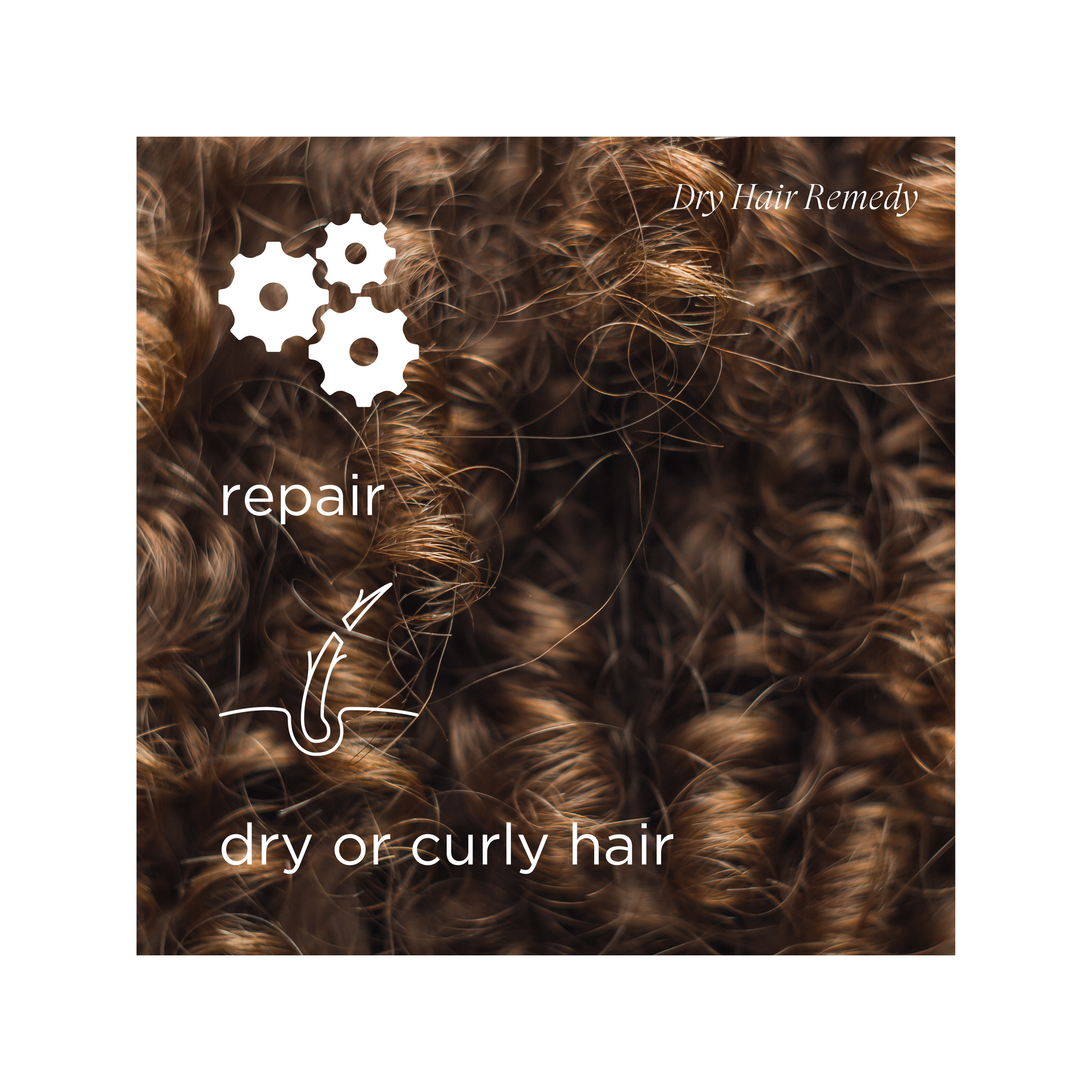 Dry Hair Remedy