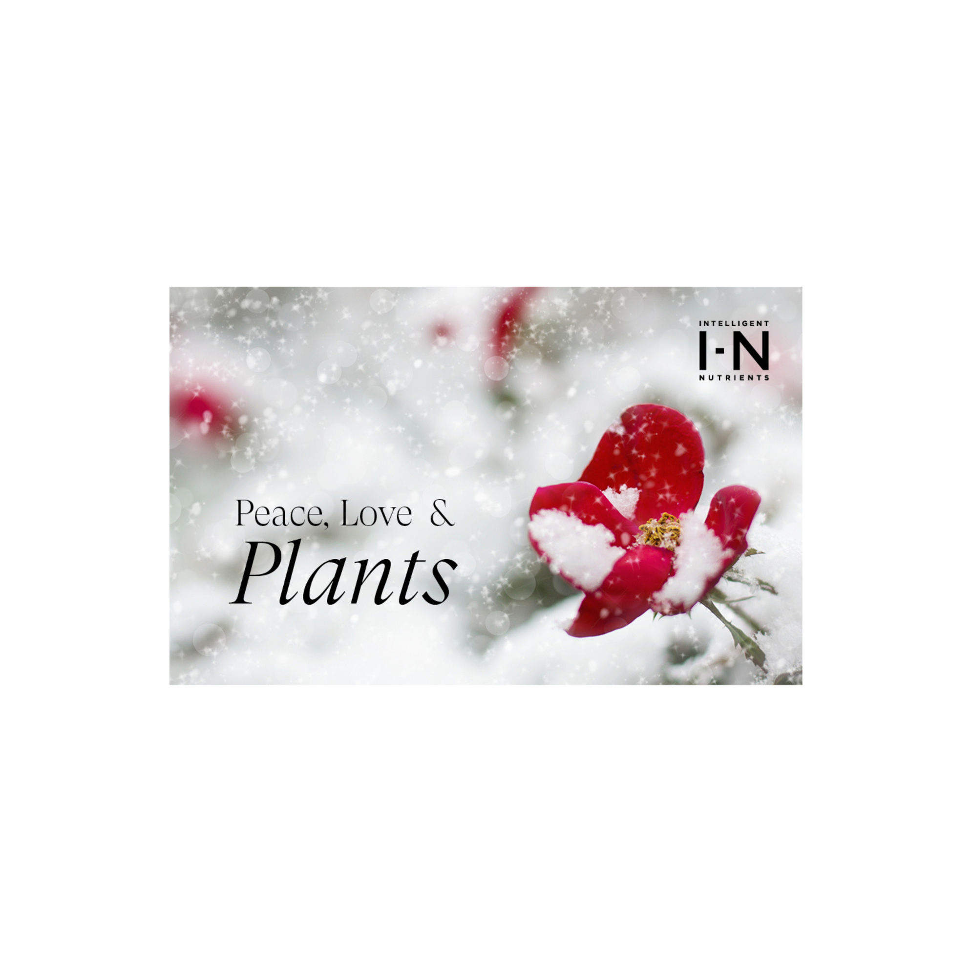 Holiday E Gift Card Peace, Love & Plants